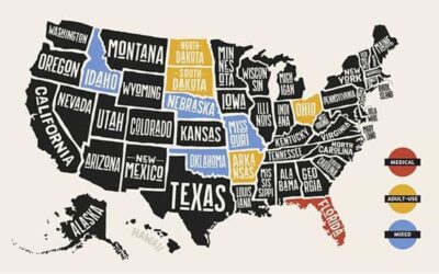 Voters in These 9 States Could Decide Cannabis Fate in 2022