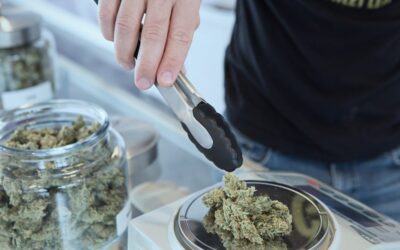 Virginia House Committee Kills Bill To Begin Marijuana Sales This Year
