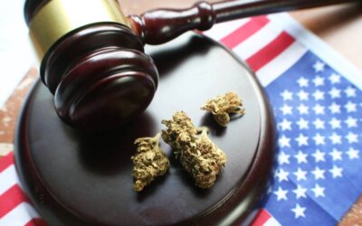 Mississippi’s Main Power Supplier Refuses To Provide Electricity To Legal Weed Businesses