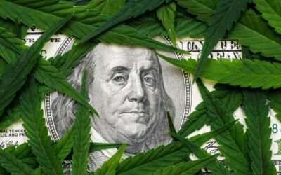 Cannabis Banking: All Businesses are Marijuana Related Businesses