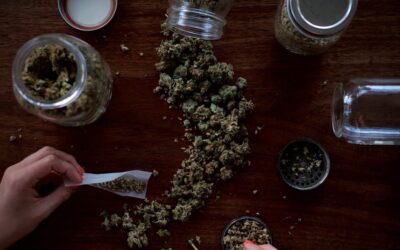 Marijuana Flower Remains King, But These Cannabis Products Are Gaining Popularity
