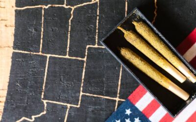 South Dakota Senate Green-Lights Cannabis Legalization & Expungement Bills