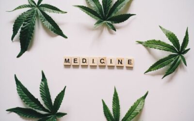 Medical Marijuana In Hawaii Still Conflicts With Federal Law