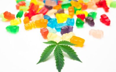 Washington lawmakers urge halt to hemp-derived THC in state