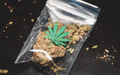 Michigan’s Indian tribes seek a way into cannabis industry, tax revenue