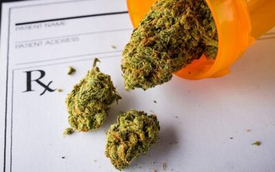 South Dakota Bill To Upend Voter-Approved Medical Cannabis Measure Defeated