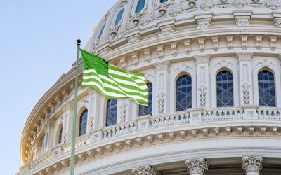 Senate Majority Leader Provides Timeline for Introducing Long-Awaited Marijuana Descheduling Plan