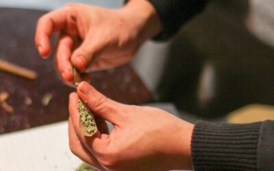 D.C. Lawmakers Approve Ban On Pre-Employment Marijuana Testing For Most Workers