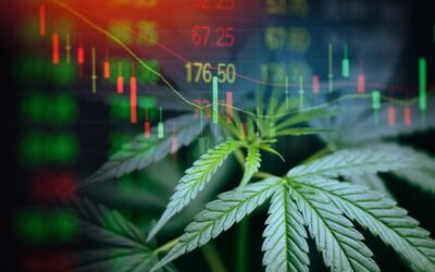 Cannabis stocks are hot ahead of a House panel hearing on a federal legalization bill