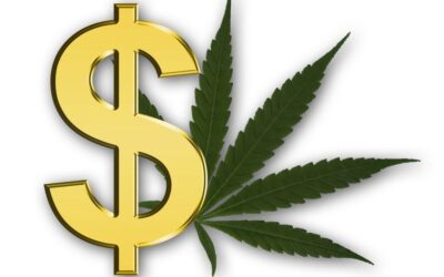 Drop The 25% Cannabis Tax, Senator Schumer!