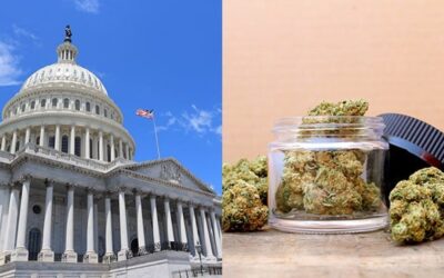 D.C. Remains on Cannabis Sales Sideline in New Omnibus Bill