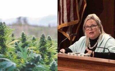 Pennsylvania Cannabis Hearings Only Presented ‘One Side,’ Left Out SAM