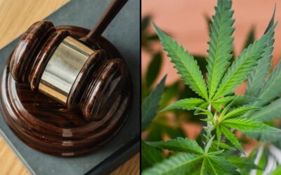 Texas Supreme Court Hears Case Challenging State’s Smokable Hemp Manufacturing Ban