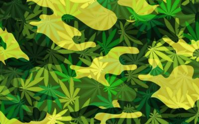 Veterans Groups Call On Congress To Allow Medical Marijuana Access Through VA