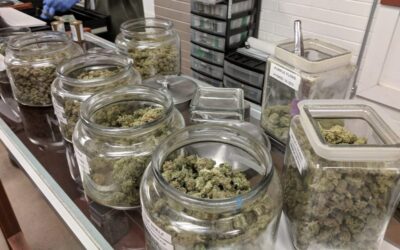 Strong Majority Of Wisconsin Voters, Including Republicans, Back Marijuana Legalization, New Poll Finds
