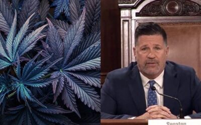 Pennsylvania Senate Committee Weighs Cannabis Mistakes, Successes Elsewhere
