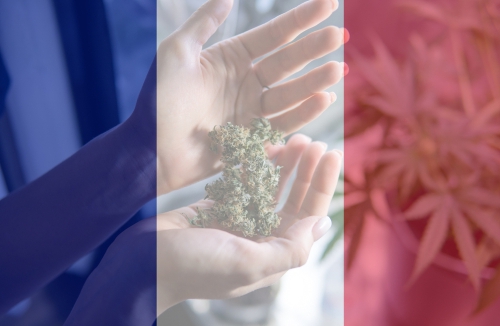 France Enters The Medical Cannabis Industry