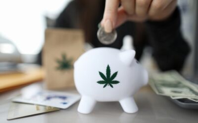 Cannabis industry goes all-in on banking push before midterms