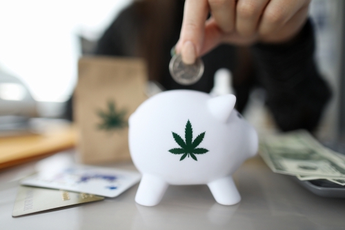 Cannabis industry goes all-in on banking push before midterms