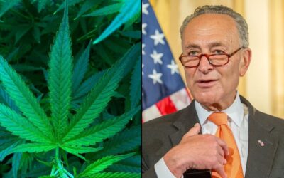 Schumer Talking To GOP To ‘See What They Want’ In Marijuana Legalization Bill Coming This Month