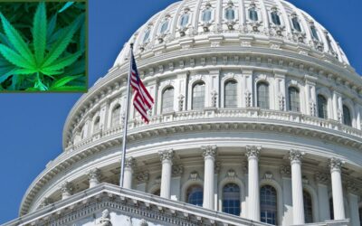 House Approves Federal Marijuana Legalization Bill For Second Time In History