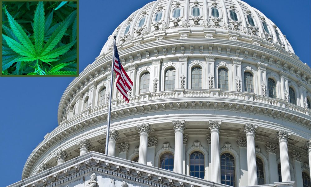 House Approves Federal Marijuana Legalization Bill For Second Time In History