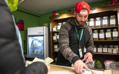 Montana marijuana sales total $73M so far this year