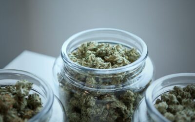 Pennsylvania Marijuana Banking Bill Heads To Senate Floor Following Second Committee Approval