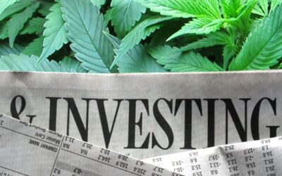 Will impact investors be the ones to profit from the coming marijuana boom?