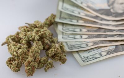 Arizona Collected More Tax Revenue From Marijuana Than Alcohol And Tobacco Combined, March Data Shows