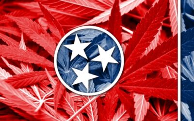 TN bill to fully legalize marijuana effectively dead for 2022 legislative session