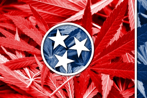 TN bill to fully legalize marijuana effectively dead for 2022 legislative session