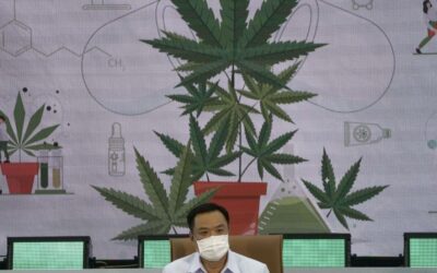 First U.S. firm joins Thailand’s would-be pot boom