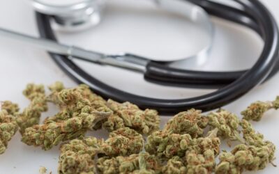 South Carolina Medical Marijuana Legalization Bill Suffers Another Procedural Defeat