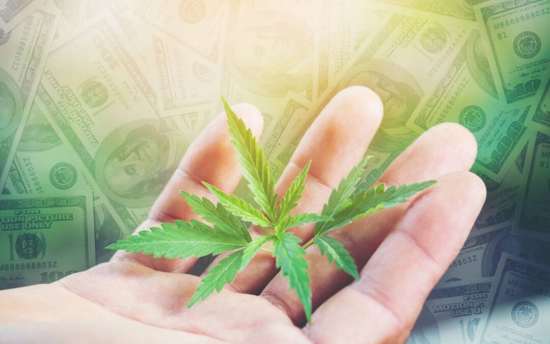 Why Are So Many Cannabis Businesses Losing Money Hand Over Fist?