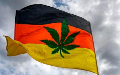 Germany Legalization Speeding Up