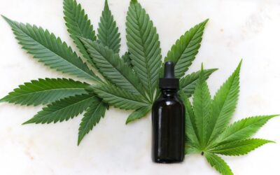 GOP Congressman Requests Hearing On FDA’s Failure To Set CBD And Delta-8 THC Regulations