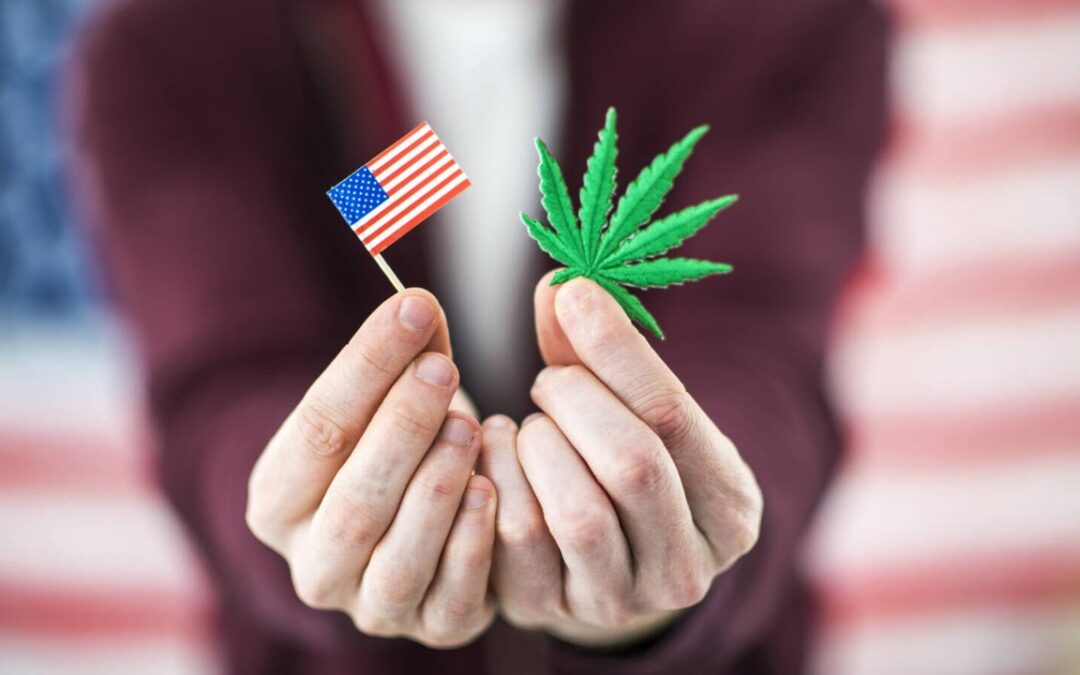 What Early Primary Victories Are Telling Us About Possible Cannabis Reform