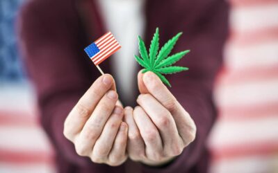 What Early Primary Victories Are Telling Us About Possible Cannabis Reform