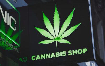 Small cannabis entrepreneurs say they can’t compete against ‘Walmart of weed’