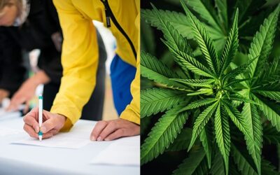 Missouri PAC Submits Twice the Signatures Needed for Cannabis Measure