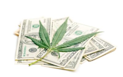 Multi-State Cannabis Operators To Sue Federal Government Over Marijuana Prohibition